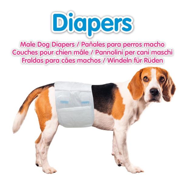 Pañal Para Macho S/M (30-46 Cms.)12 Uds./Caja