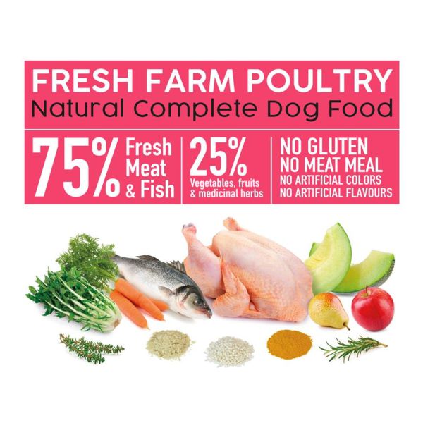 Arquivet Fresh Free Run Turkey 10 Kg.