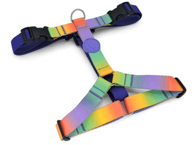 Morso dog harness h-harness recycled spring blossom
