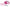 FLEXI VARIO CORDON T/S 5 mts. ROSA