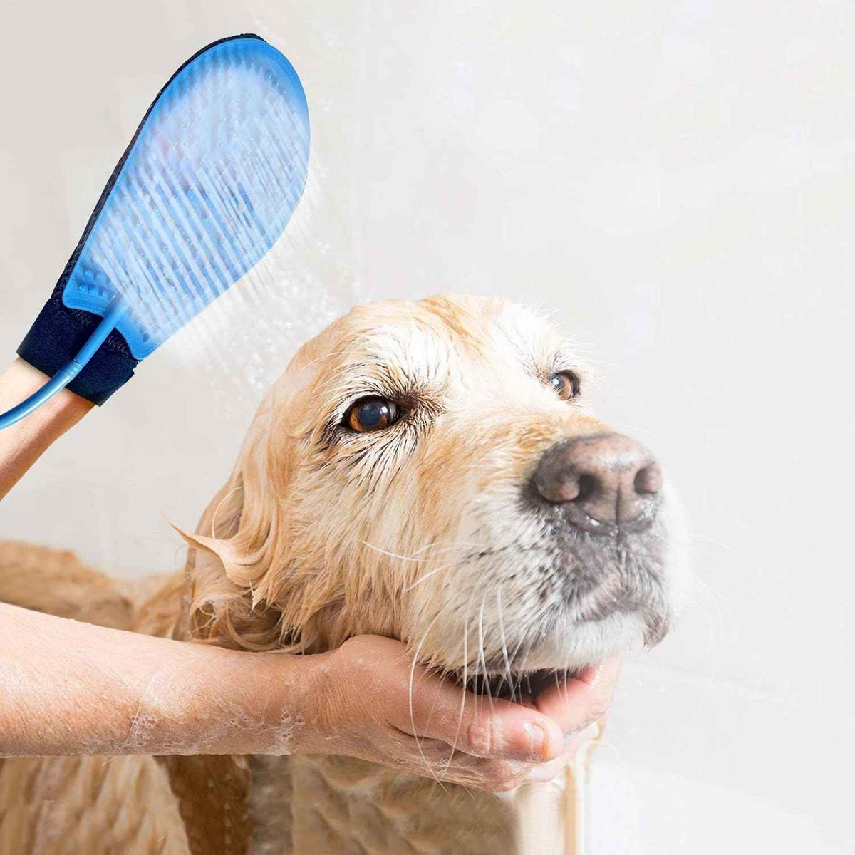 PET-CLEAN MENTEN LIMPIO Y FELIZ A TU MASCOTA💧