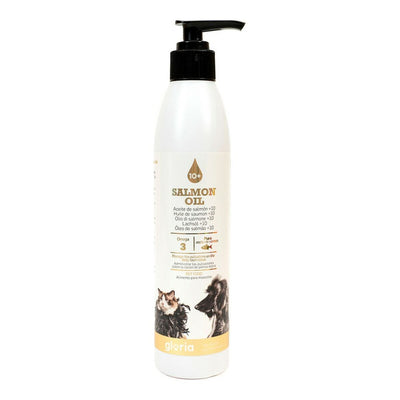 V11H122C979D7672EC3313814D1B54B5C0C5R3725524P1