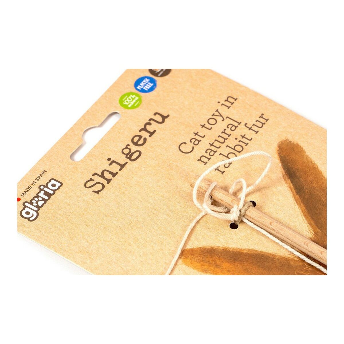 V11H5A15E023407CC496A9C5A2A9AE41FE54R4263183P5