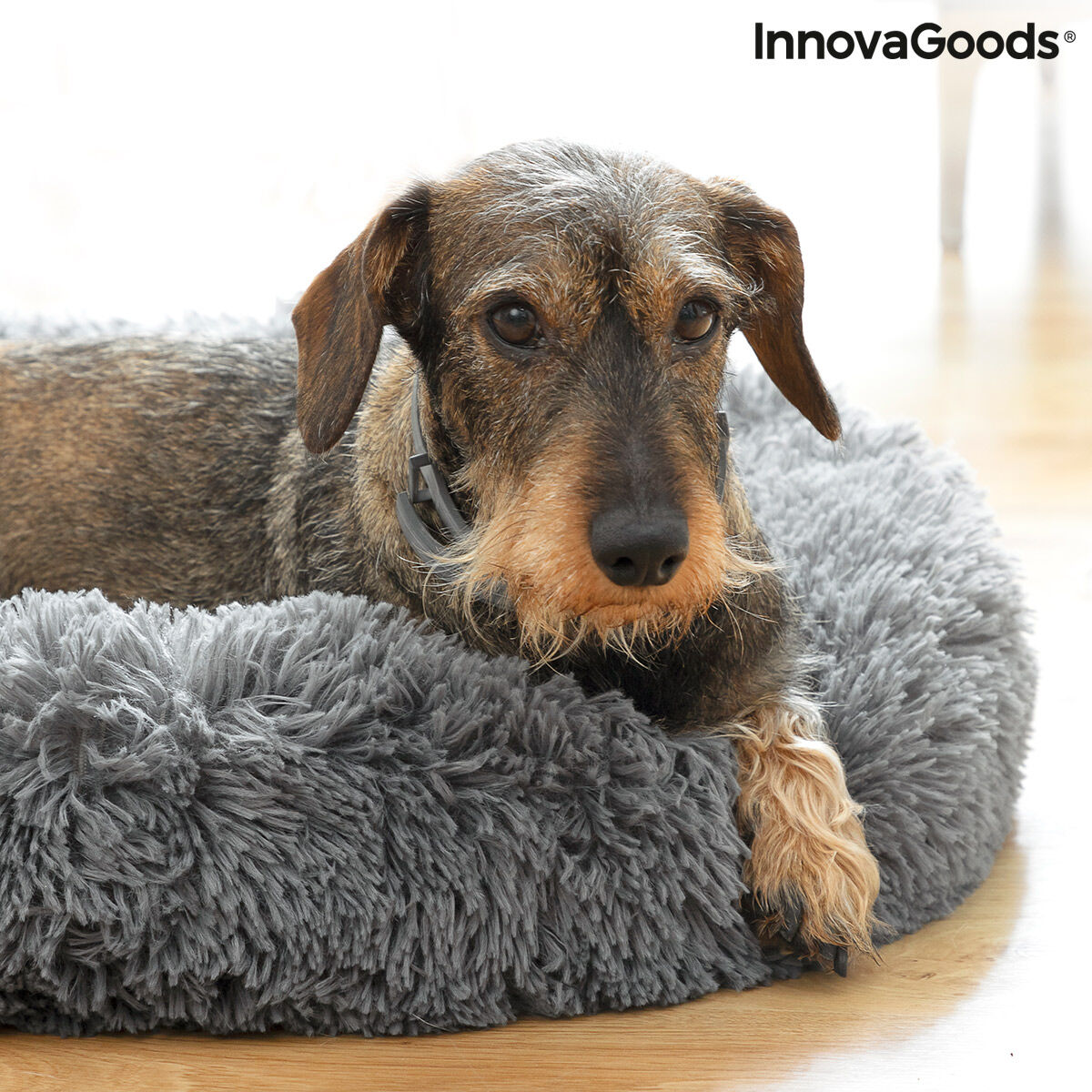 Cama Antiestrés para Perros y Gatos - 💞Cama Relajante con Borde Elevado para Mascotas de Tamaño Medio