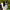 V14H9D335C59B48BEAF851084241A746EB31R5279723P1