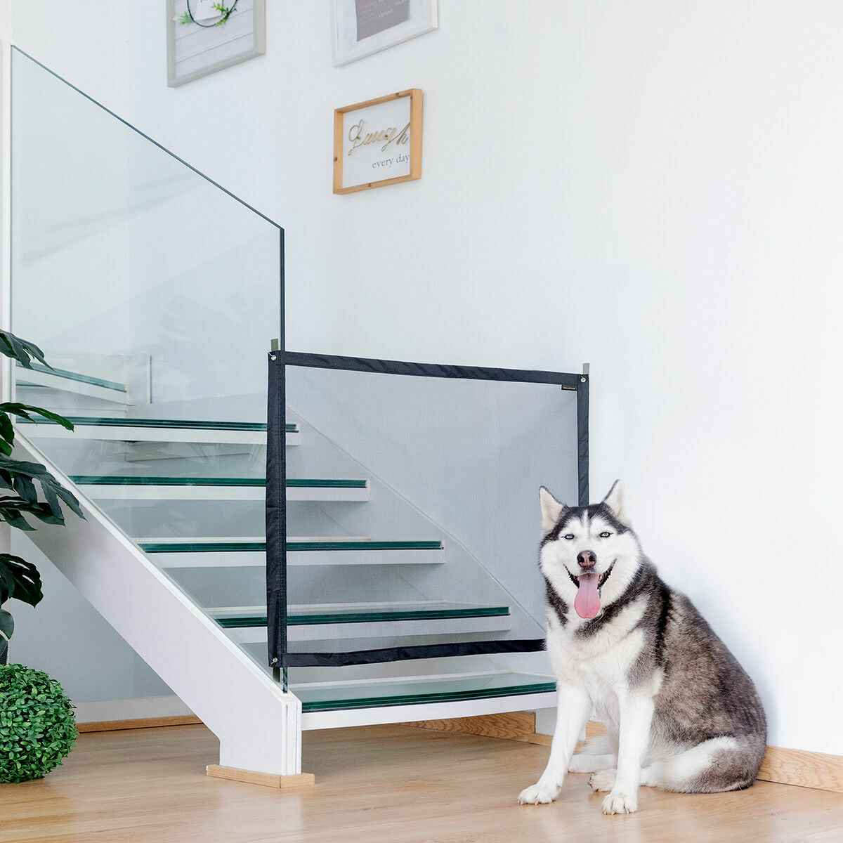 Seguridad para Mascotas: Red de Seguridad Petinu InnovaGoods