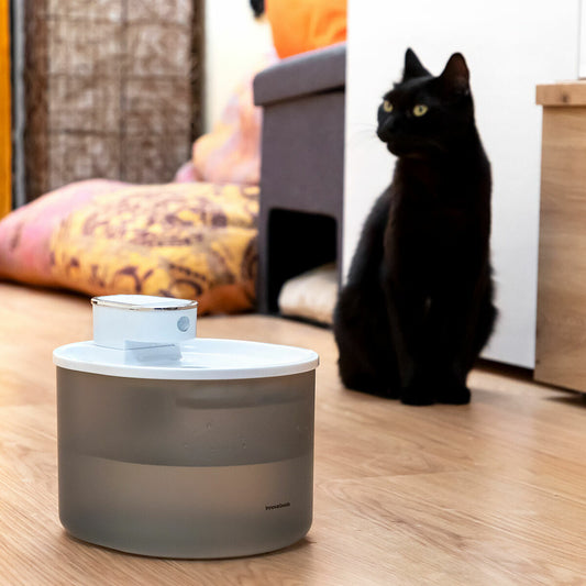 Fuente para Gatos Recargable con Sensor de movimiento