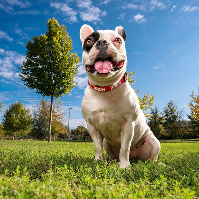 V4HE7BBA62FD0644F38C65FD7E5605726EER4655548P7