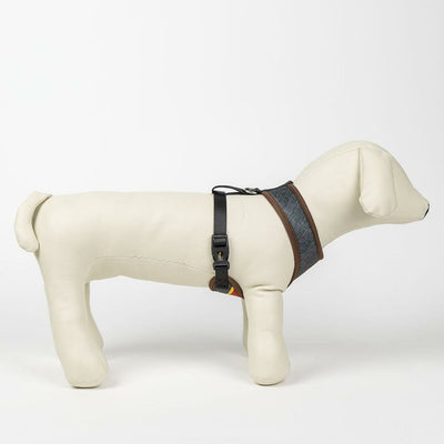 V4H2A64B893F35EF23B44BFE2D72A2D7691R5150350P8