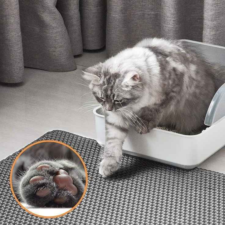 SandTrap™ Pro: La Alfombrilla Inteligente elimina el efecto playa de tu hogar