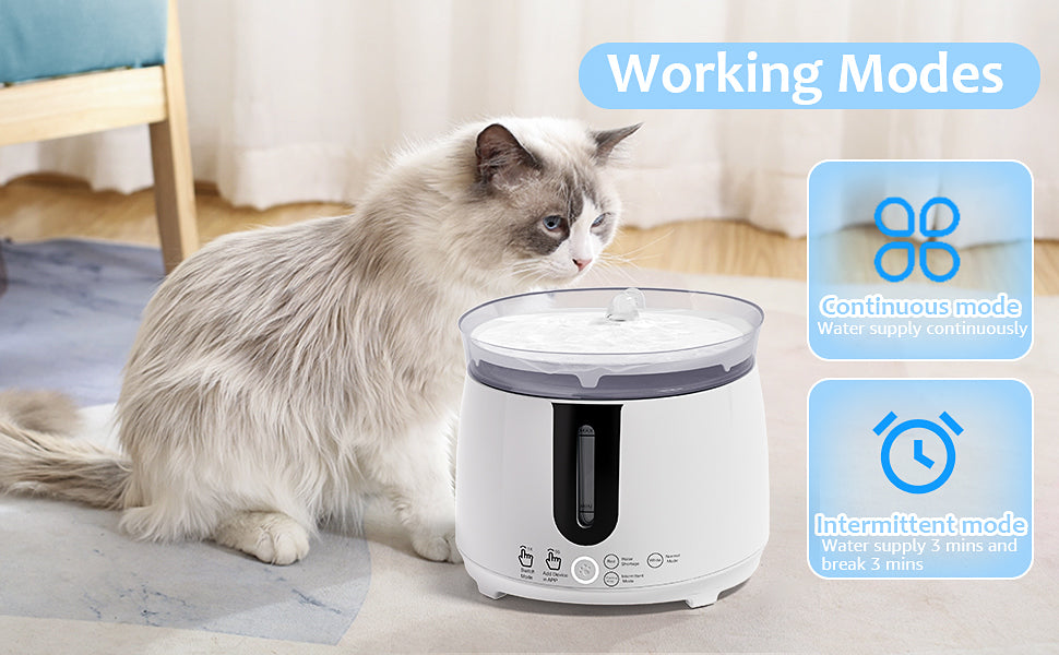 Electric water fountain for small dogs and cats, 2L / 70oz