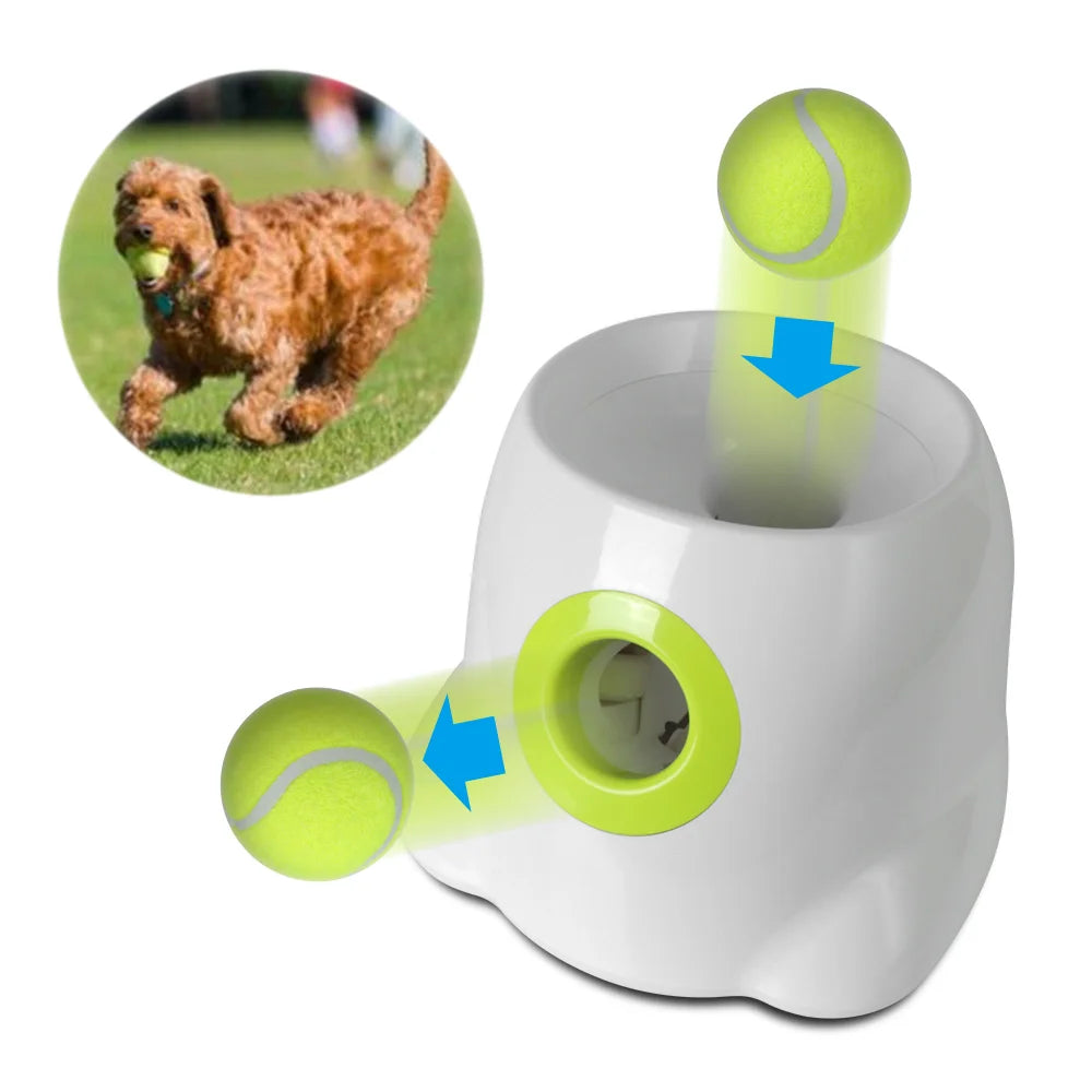 PETBALL Máquina de lanzamiento de bolas🐾