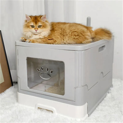 🐾 Mistral Cat_ El arenero elegante que respeta su espacio… y cuida el tuyo.