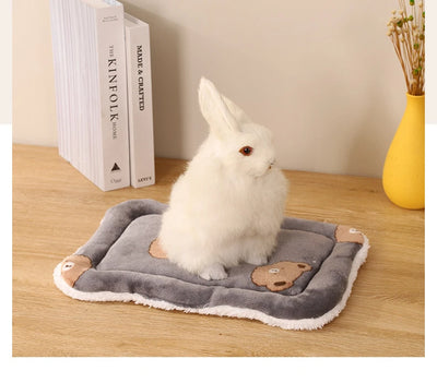Almohapet  La Cama Acolchada para Mascotas Pequeñas"🧸☁️