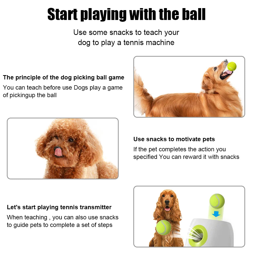 PETBALL Máquina de lanzamiento de bolas🐾