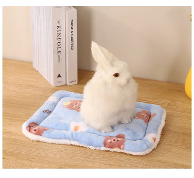 Almohapet  La Cama Acolchada para Mascotas Pequeñas"🧸☁️