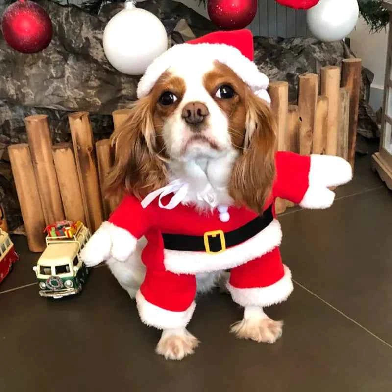 Disfraz para mascotas  de Papa Noe "VISTE A TU MASCOTA  ESTA NAVIDAD"
