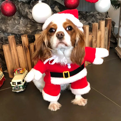 S/M/L/XL/XXL Santa Claus Christmas Costume Clothes For Pet Winter Warm Red Celebrate Christmas Pet Dog Cat Dress Outfit