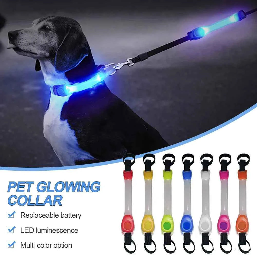 Collar Luminoso LED para Perros - Seguridad Nocturna y Antipérdida con Luz Intermitente Impermeable