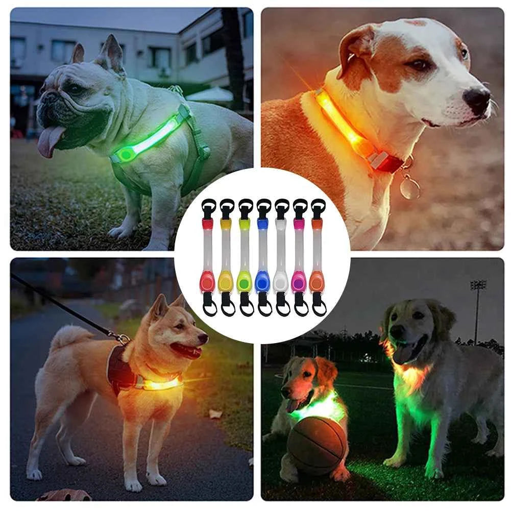 Collar Luminoso LED para Perros - Seguridad Nocturna y Antipérdida con Luz Intermitente Impermeable