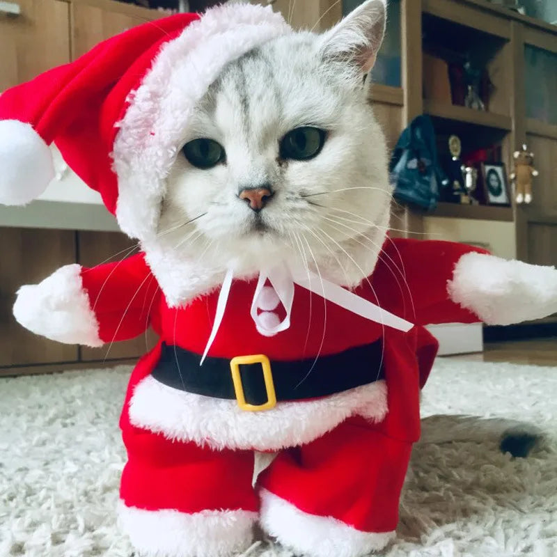 S/M/L/XL/XXL Santa Claus Christmas Costume Clothes For Pet Winter Warm Red Celebrate Christmas Pet Dog Cat Dress Outfit