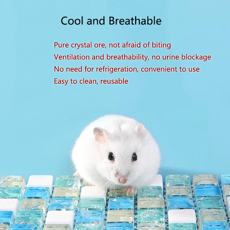 🐹Almohadilla refrescante para hamster