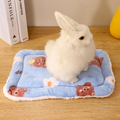 Almohapet  La Cama Acolchada para Mascotas Pequeñas"🧸☁️