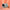 Cueva para roedores, cama para cobayas, cama para hámster, roedores,