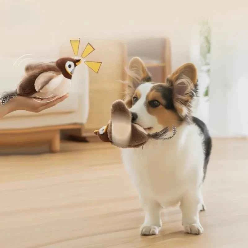 ZUMBITO El juguete que tu mascota no dejara de💞 amar