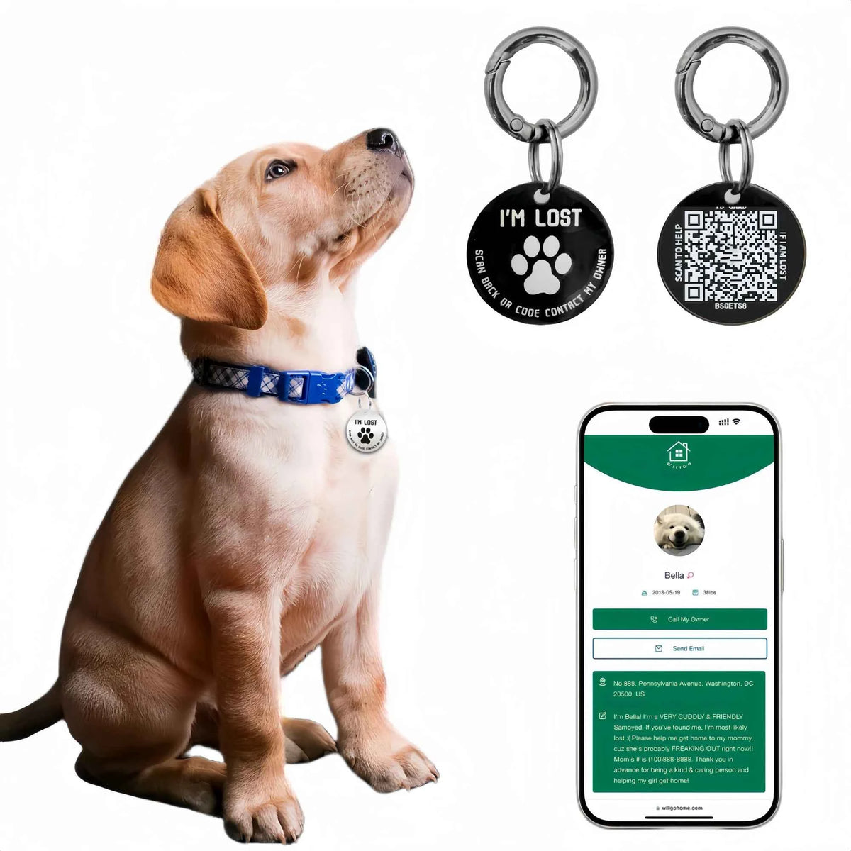 Etiqueta Identificativa con Código QR para Mascotas 💞