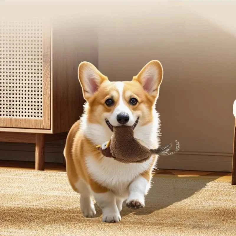 ZUMBITO El juguete que tu mascota no dejara de💞 amar