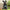 V15H2A9F32BA91D26E59C2A199C6FD9E8B13R5434219P1