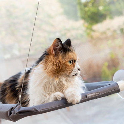 Catlax Hanging Cat Hammock