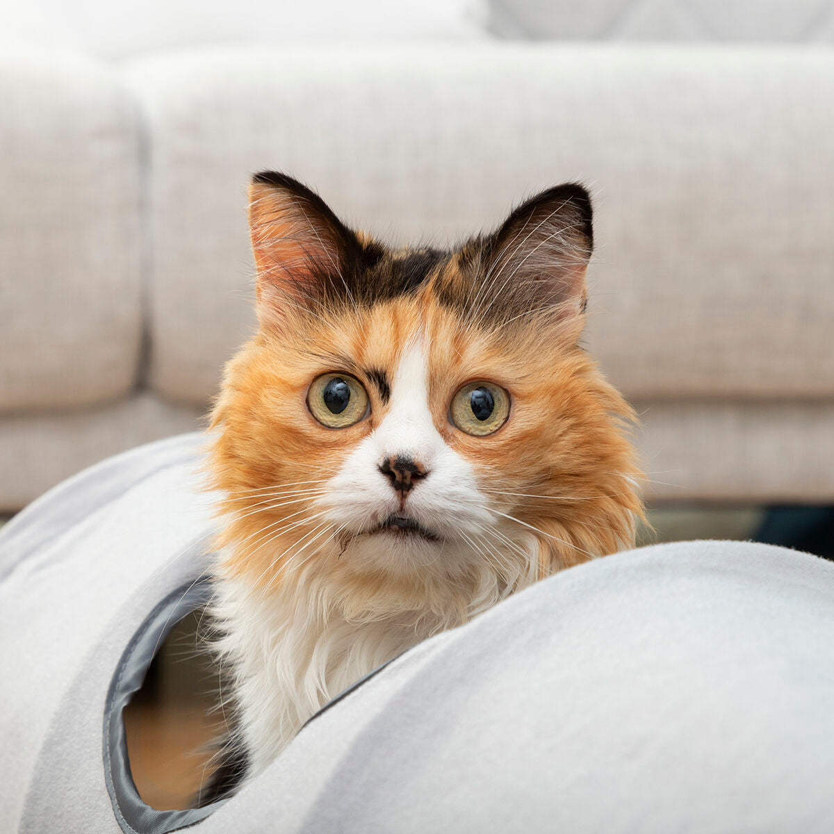 Funny Collapsible Pet Tunnel