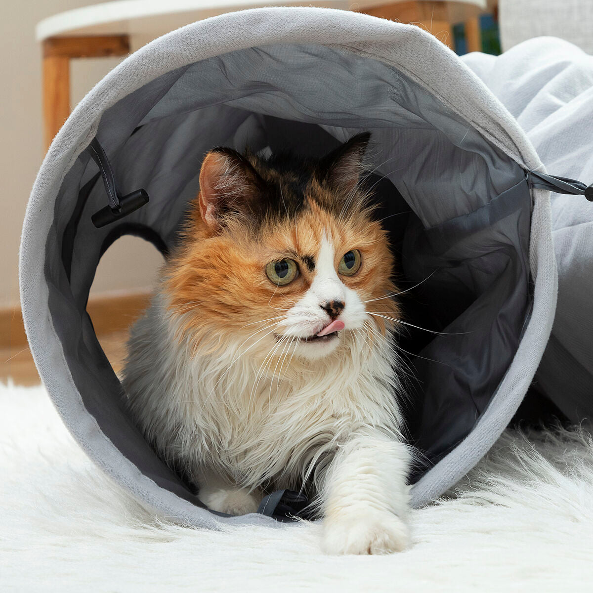 Funny Collapsible Pet Tunnel