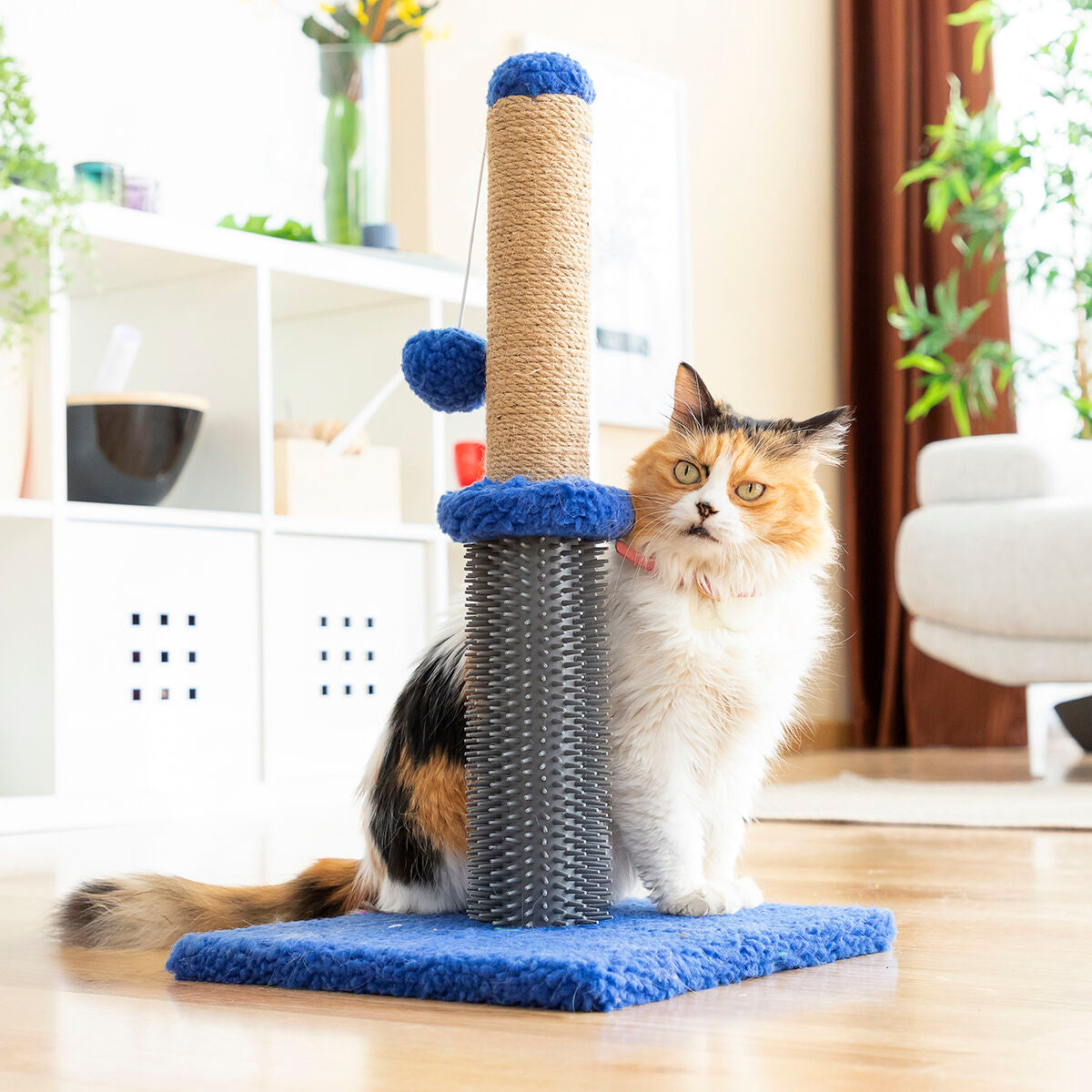 Cat Scratching Post Massager with Ball Miausage