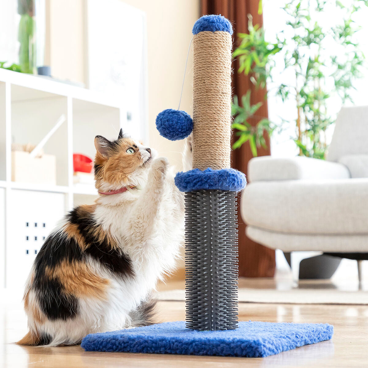 Cat Scratching Post Massager with Ball Miausage