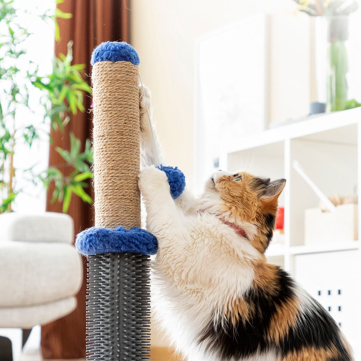 Cat Scratching Post Massager with Ball Miausage