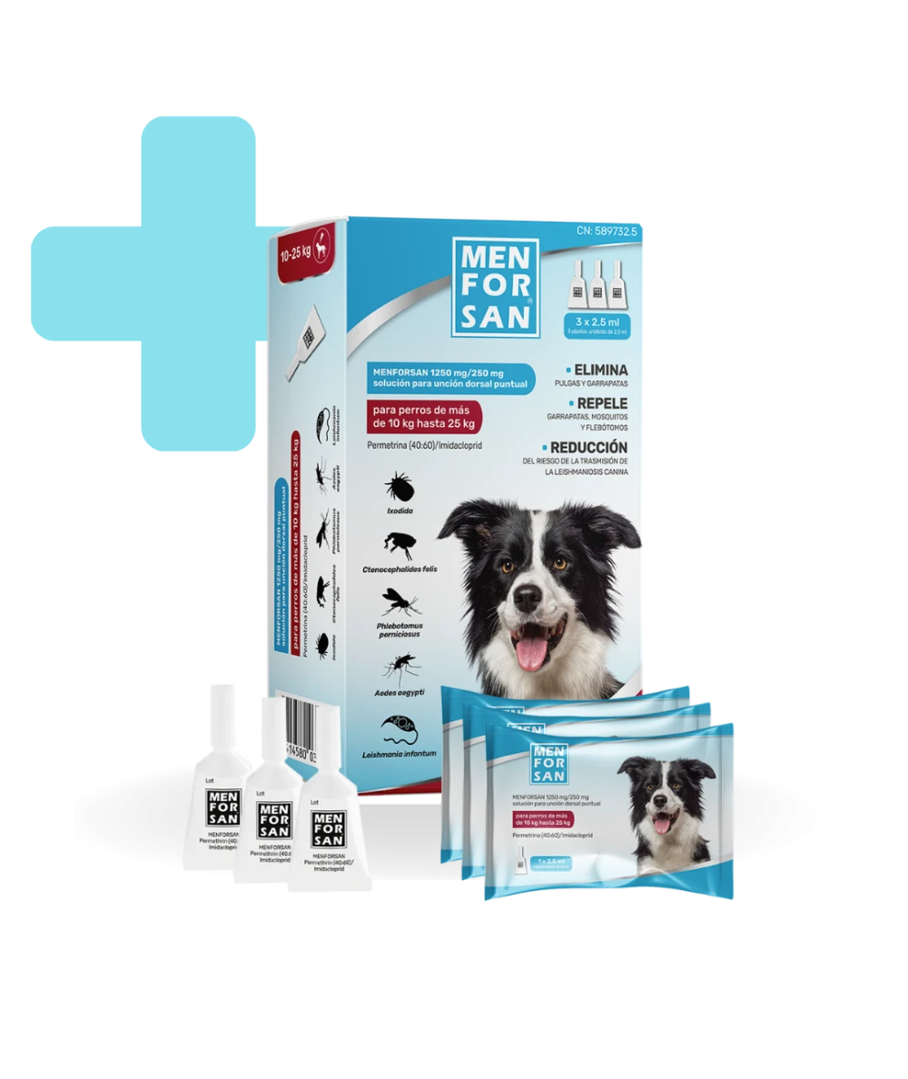 MENFORSAN 1250MG/250MG SPOT-ON PERROS 10-25KG