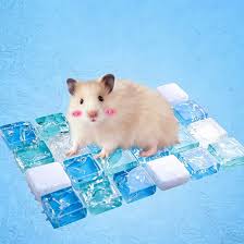 🐹Almohadilla refrescante para hamster