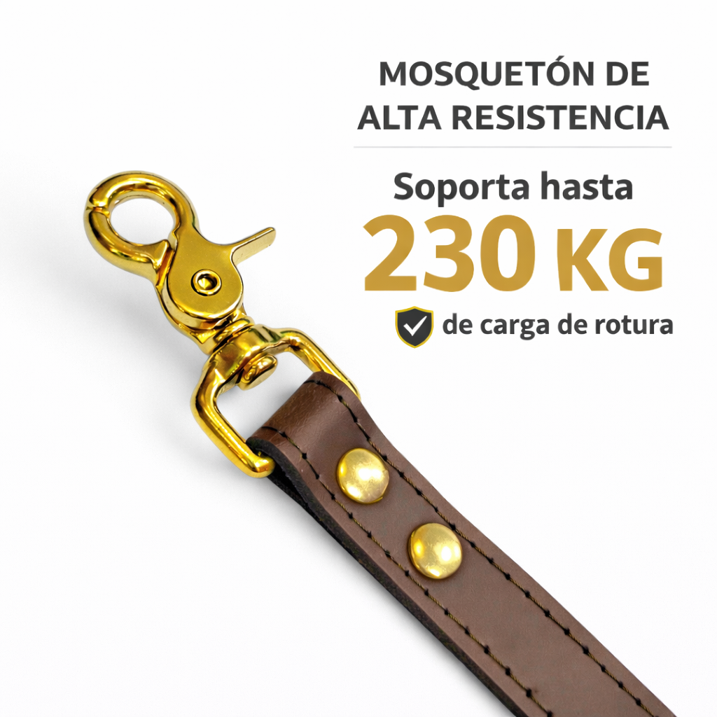 Mosquetón de alta resistencia, soporta hasta 230 kg