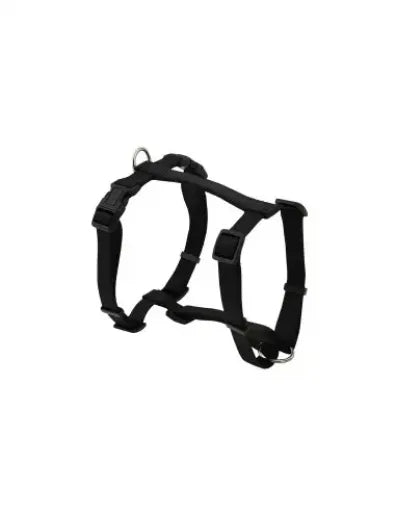 ARNES BASIC EN H NEGRO 20mm. 46-75CM