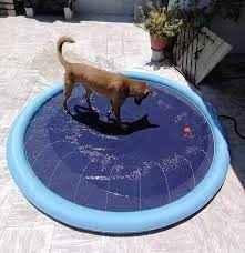 Piscina Aspersora para Perros – Diversión Refrescante para el Verano