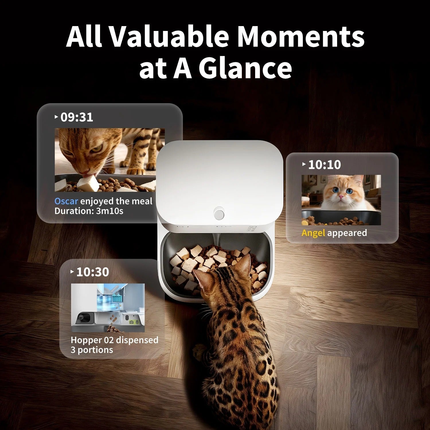 YumShare Dual-hopper 2 Automatic Feeder with Camera -EU plug