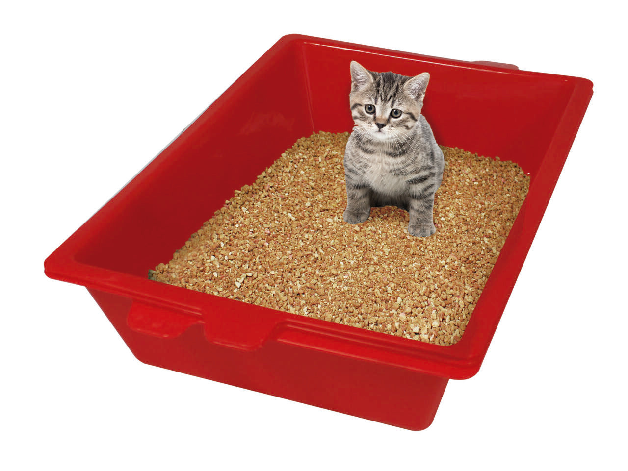 CleanCat Pro - 🐾Sistema Inteligente de Limpieza para Arenero de Gatos