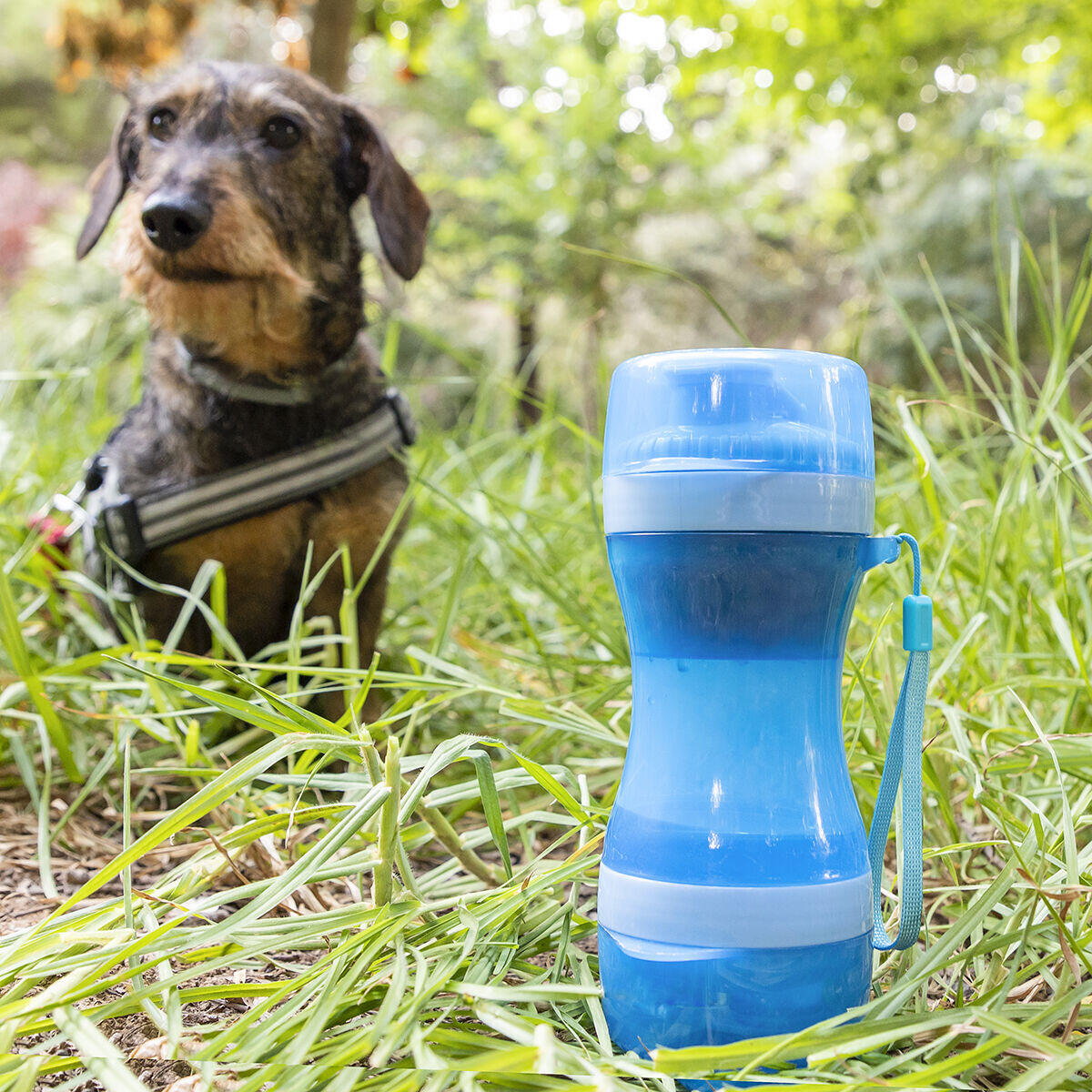 Botella con Depósito de Agua y Comida para Mascotas 2 en 1 Pettap