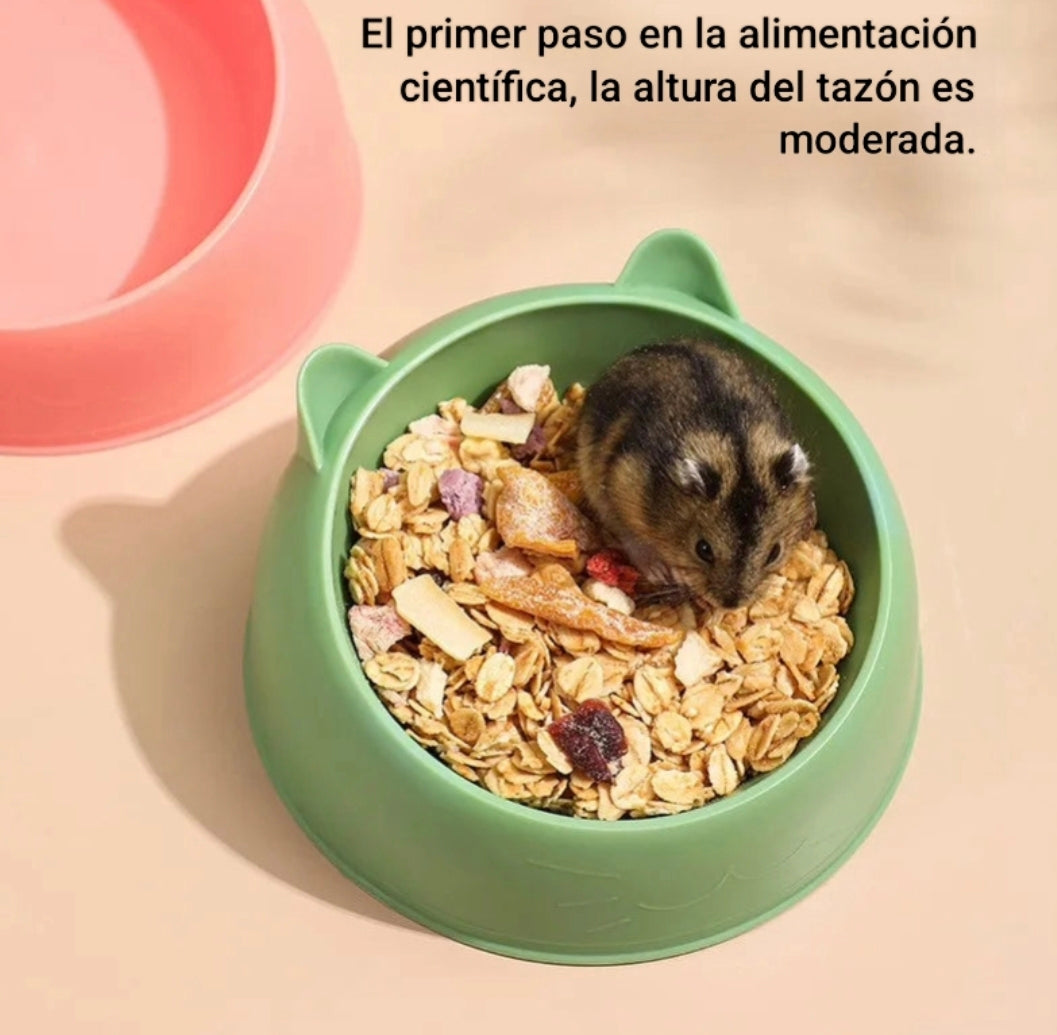 Contenedor de comida para Hamster🐭